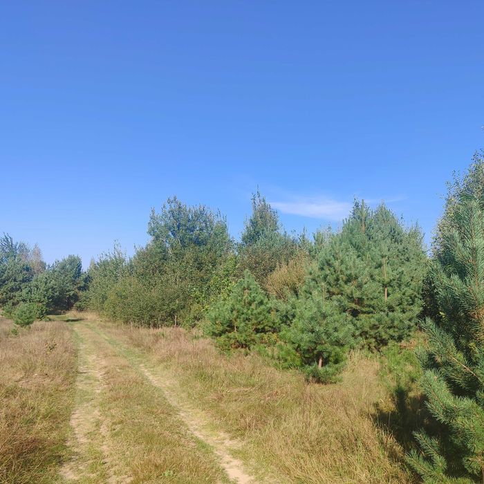 Земельна ділянка під лісом!!!