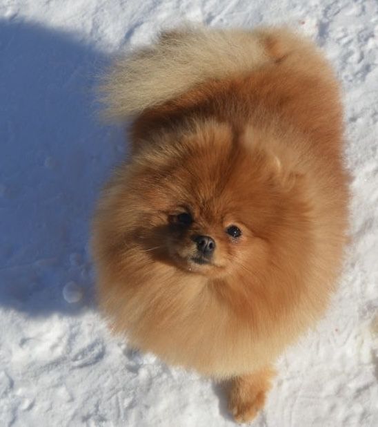 Дівчинка 1 рік ….