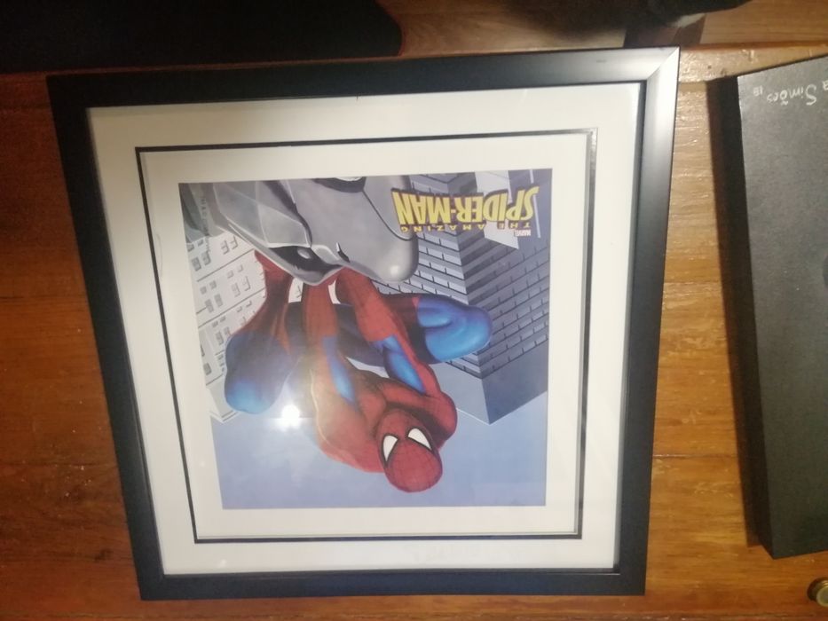Moldura Spider-Man 50cm por 50 cm