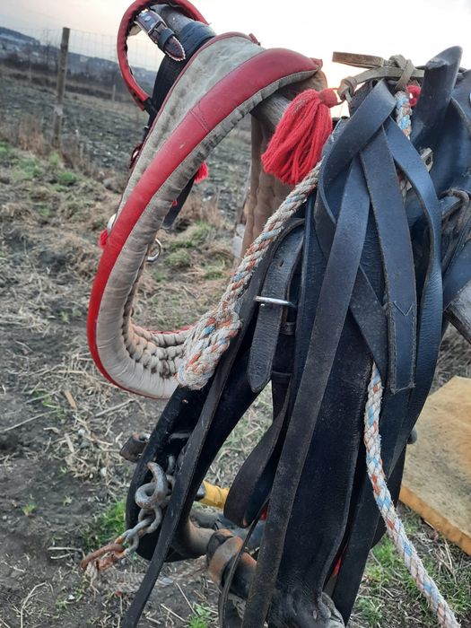 Sprzedam przepiękny homont, uprząż z uzda dla konia