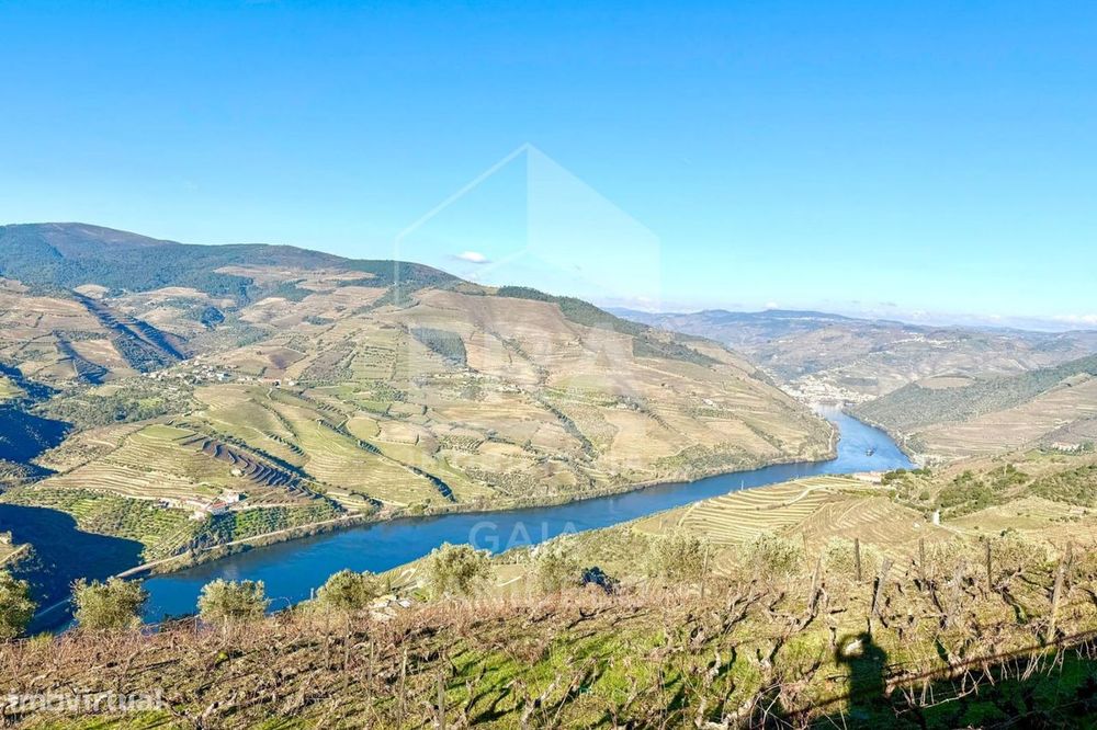 Fraga da Moira – Propriedade Única no Douro
