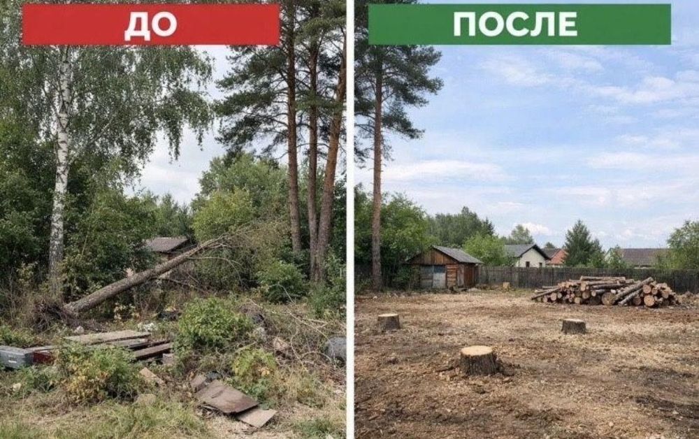 Мастер на чяс, Ремонт и Демонтаж, Разчистка Участков