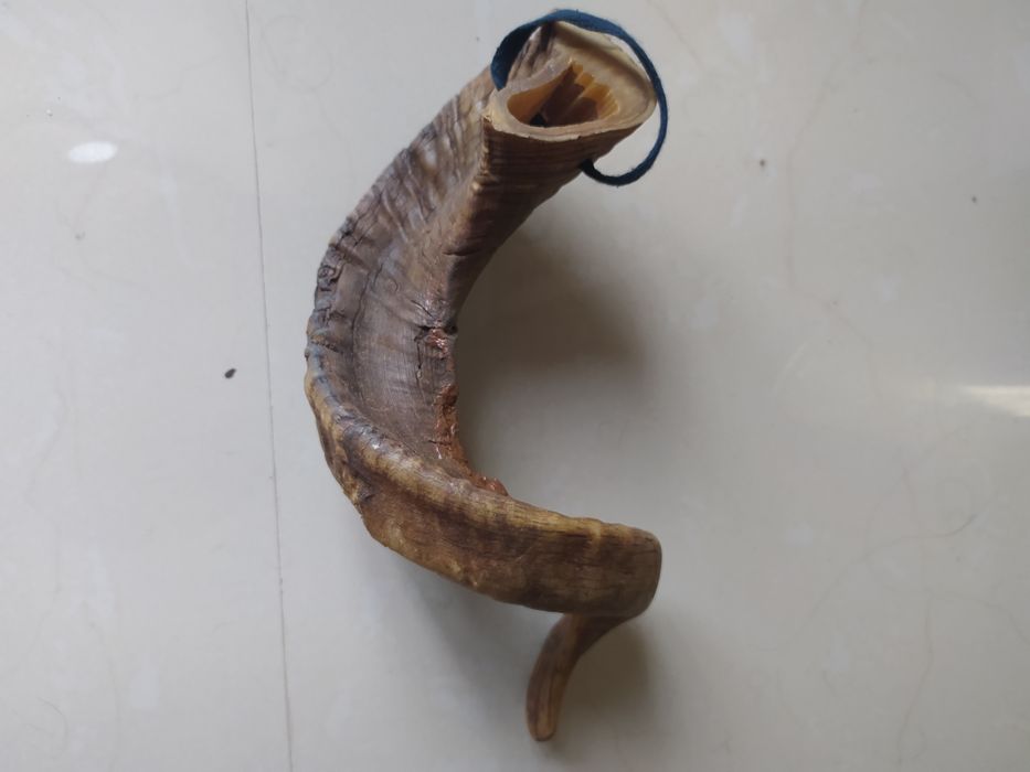 corno Carneiro, original em ótimo estado