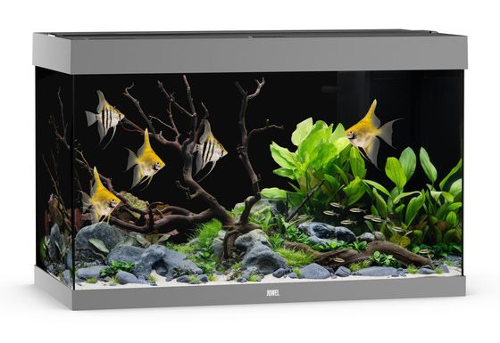 Akwarium Juwel Rio 290 LED szare Aqualife