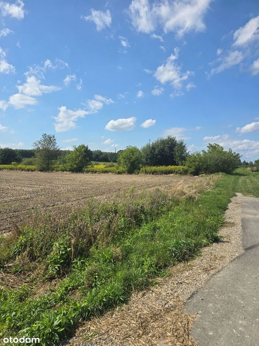 Działki Budowlane 6 Arów – Pilzno, Ul. Wiosenna
