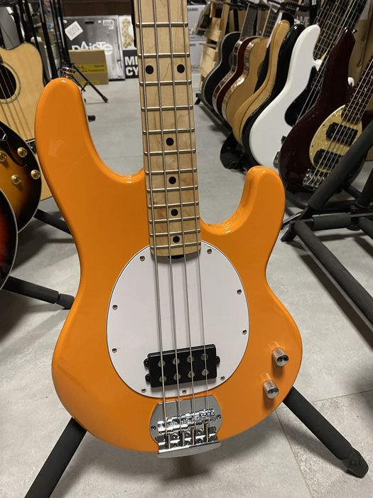Sterling Ray 2 - gitara basowa