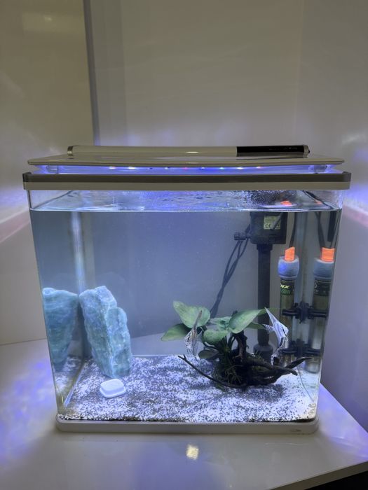 Vendo aquario como novo