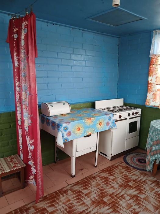 Продам будинок с Борсуків