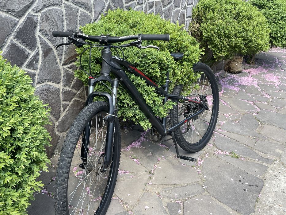 Formula Blackwood AM DD 26" 2022