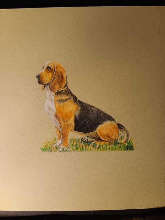 Retratos de animais de encomenda