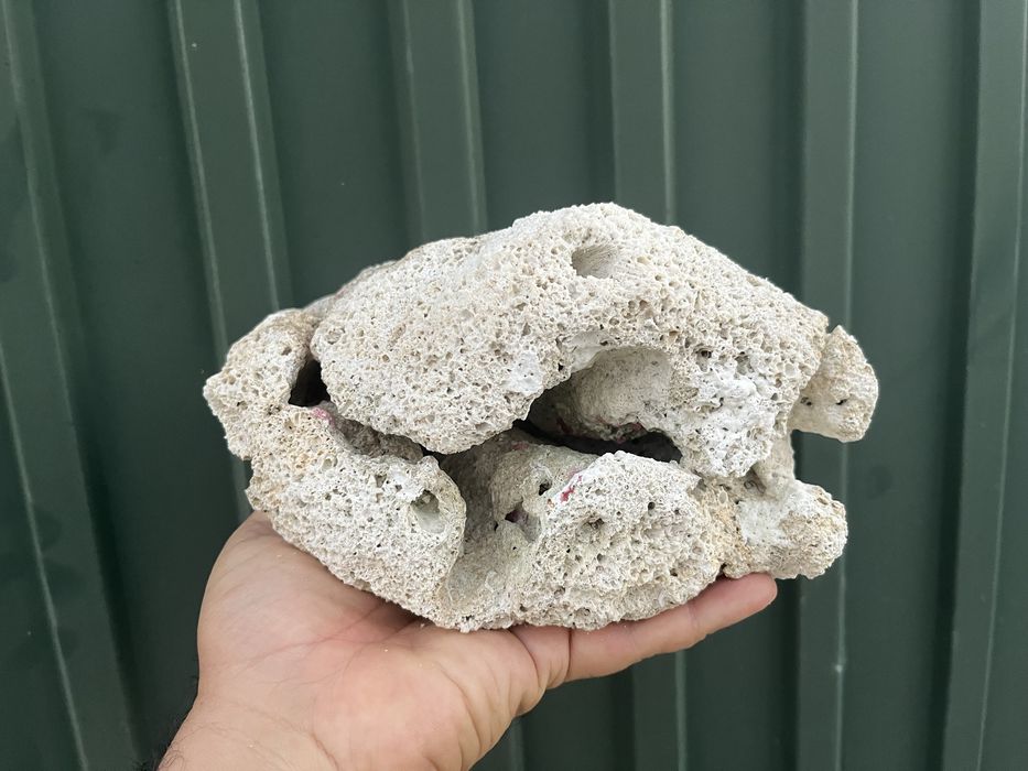 Pedra de coral para aquario ou terrario ou decoração