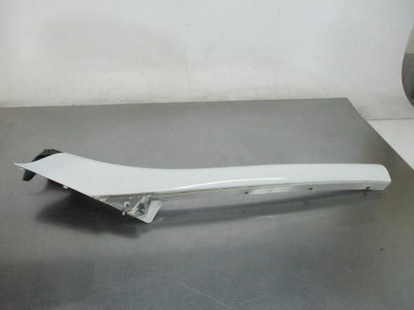 Friso / Frisos RENAULT Scénic III (JZ0/1_)
