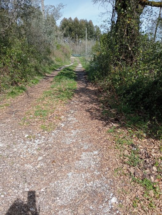 Vende-se terreno urbano e rústico casa ruína.