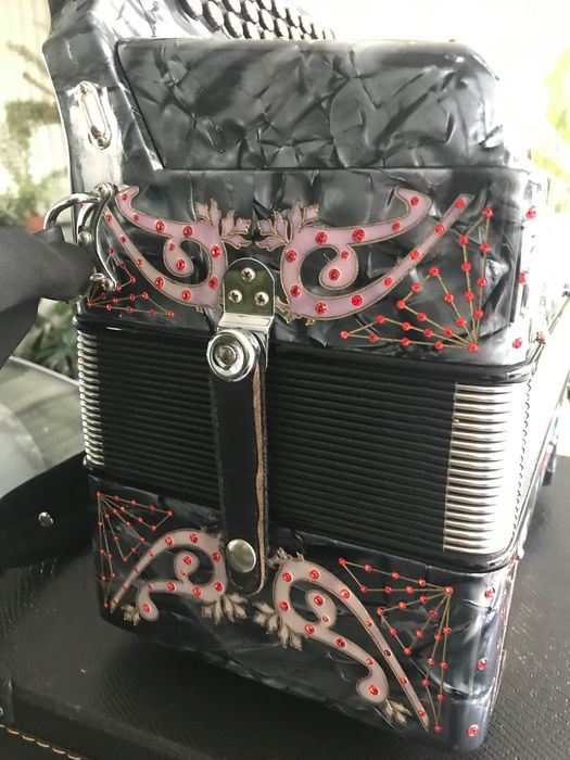 Vendo concertina semi nova da mesma fábrica da pedrosini em SOL DO FA