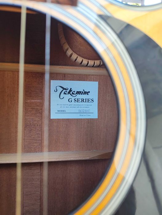 Guitarra Takamine G220