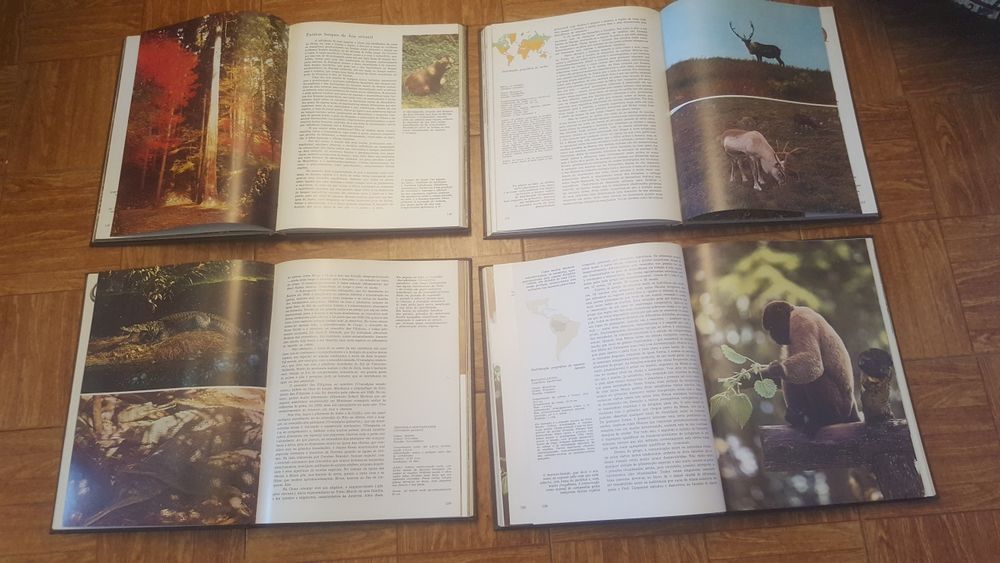 Enciclopédia  A Fauna  e flora  e mais  temas