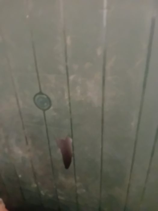 Mesa de plástico, tem um pouco partido a meio
