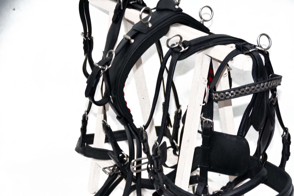 Uprząż singlowa na jednego konia roz. full