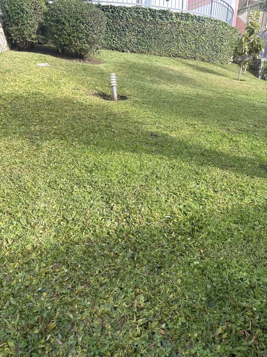 Manutençao e costruçao de jardins