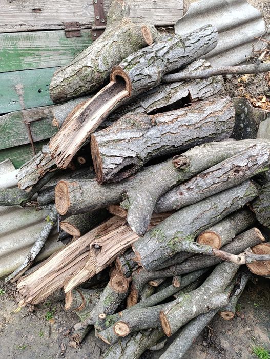 Продам дрова (горіх)