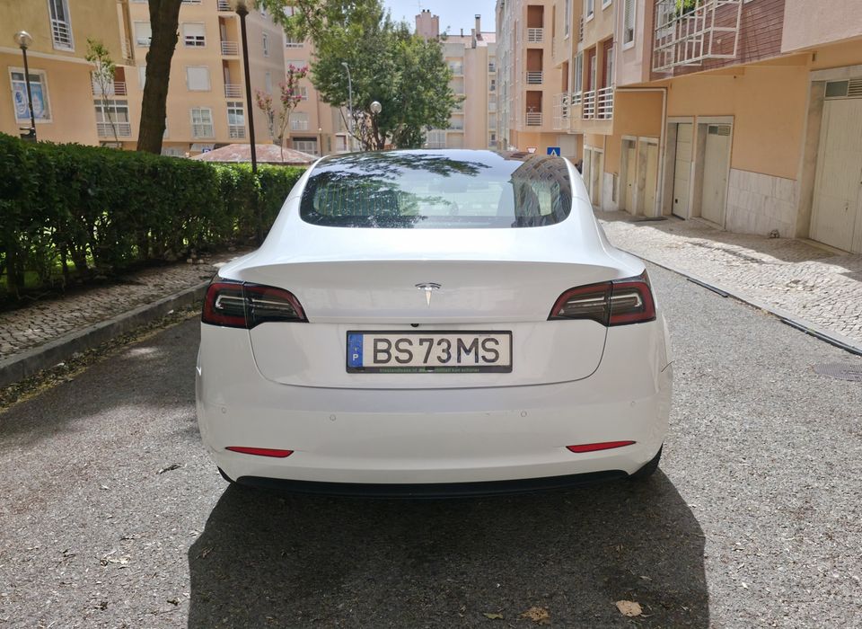 Tesla standard range plus 12-2019