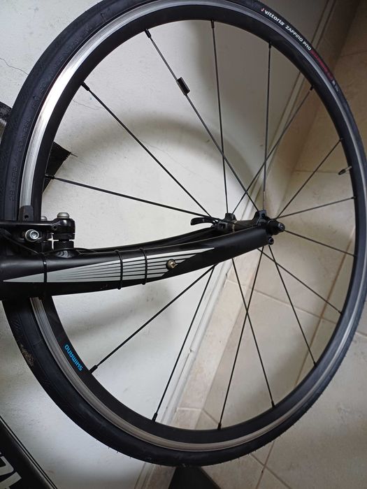 Optima bike Specialized