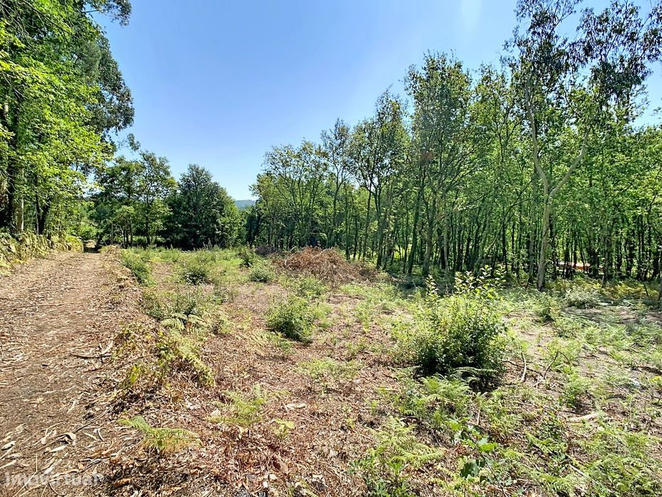 Terreno para construção em São Gens