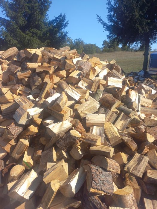 Drzewo opalowe 200zl