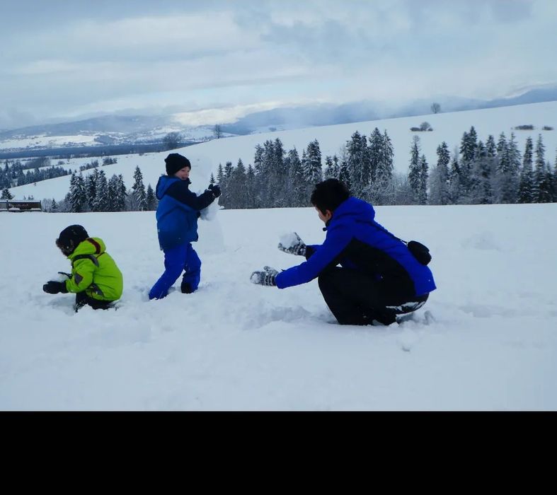 Kurtka narciarska 4F z membraną 10000 zimowa jak nowa