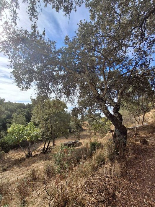 TERRENO COM Projeto de Construção Aprovado