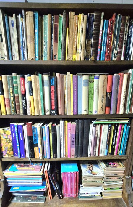 Recheio + de 200 livros