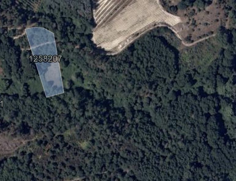 Terreno Rústico de Grande Dimensão (3,05 ha) em Boco – Parada de Gonta