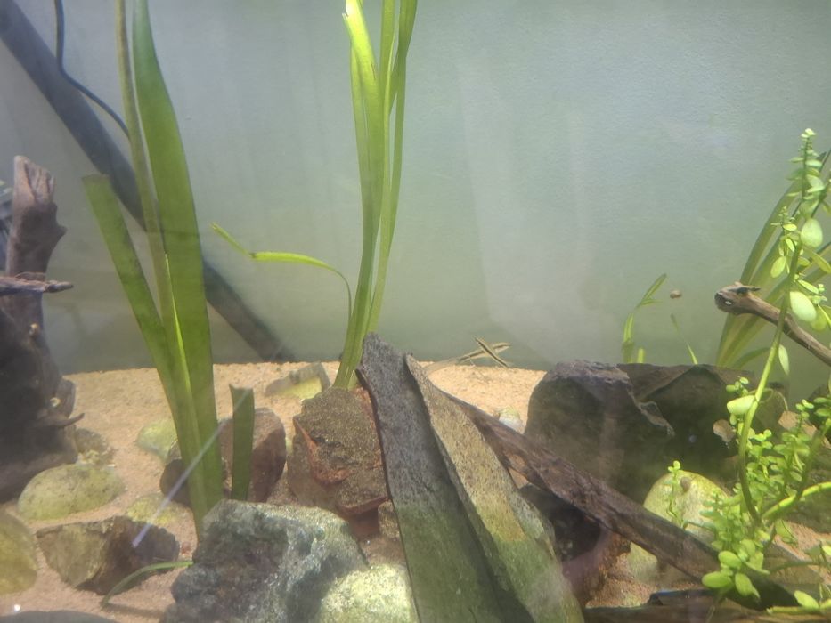Aquário+móvel+peixe+acessórios