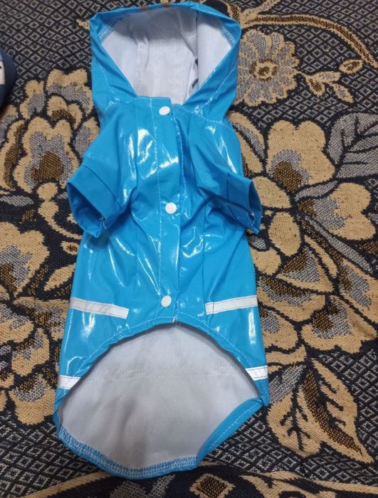 Дождьовик для собаки