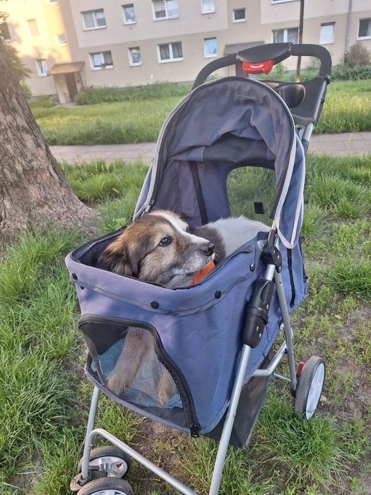Wozek dla psa - do 15kg.