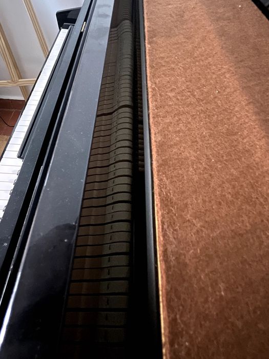 Piano Young Chang Preto brilhante