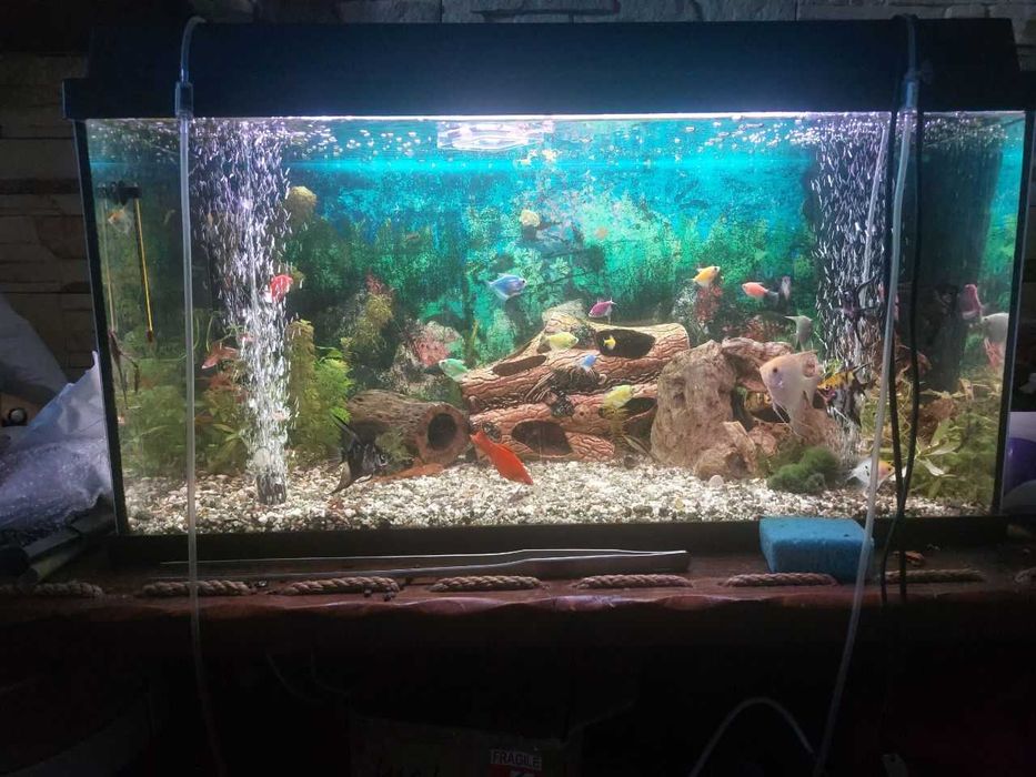 Продаю німецький акваріум Juwel PRIMO 110