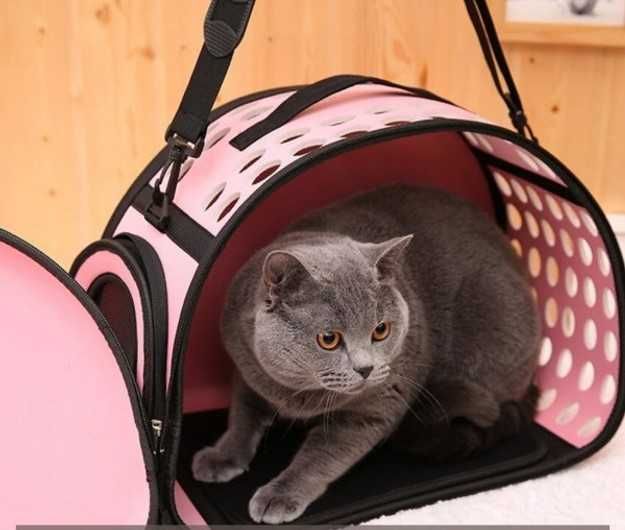 Сумка-переноска для котів і маленьких собак (прозора)