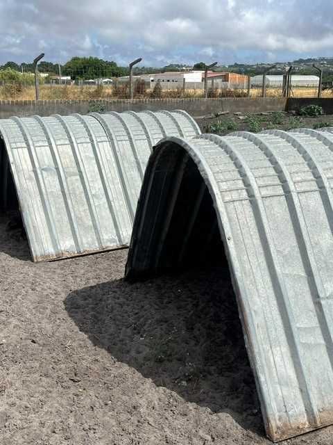 Barracas Parideiras para Porcas