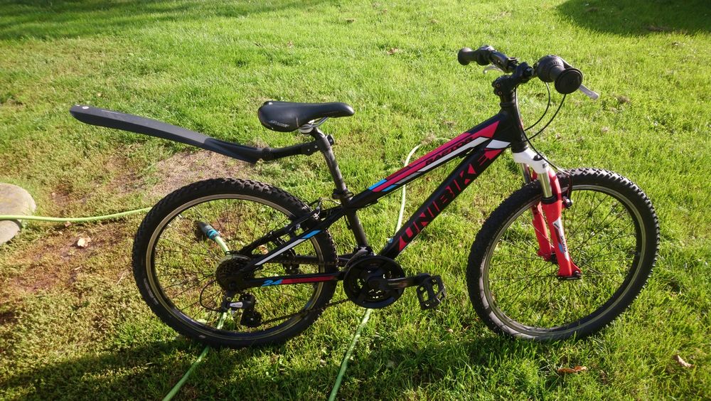 Rower dziecięcy unibike raptor