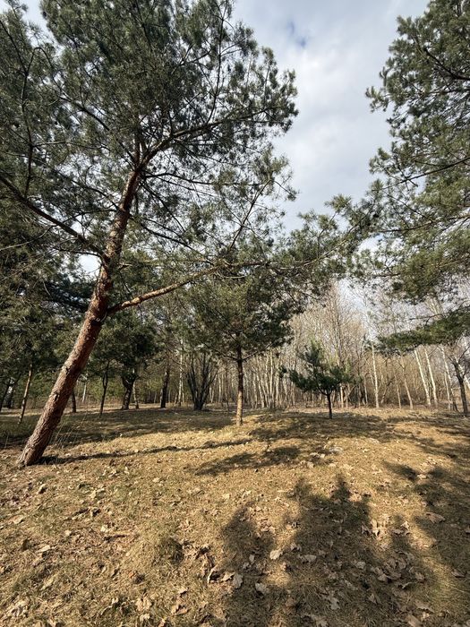 Продаж земельних ділянок с.Бірки