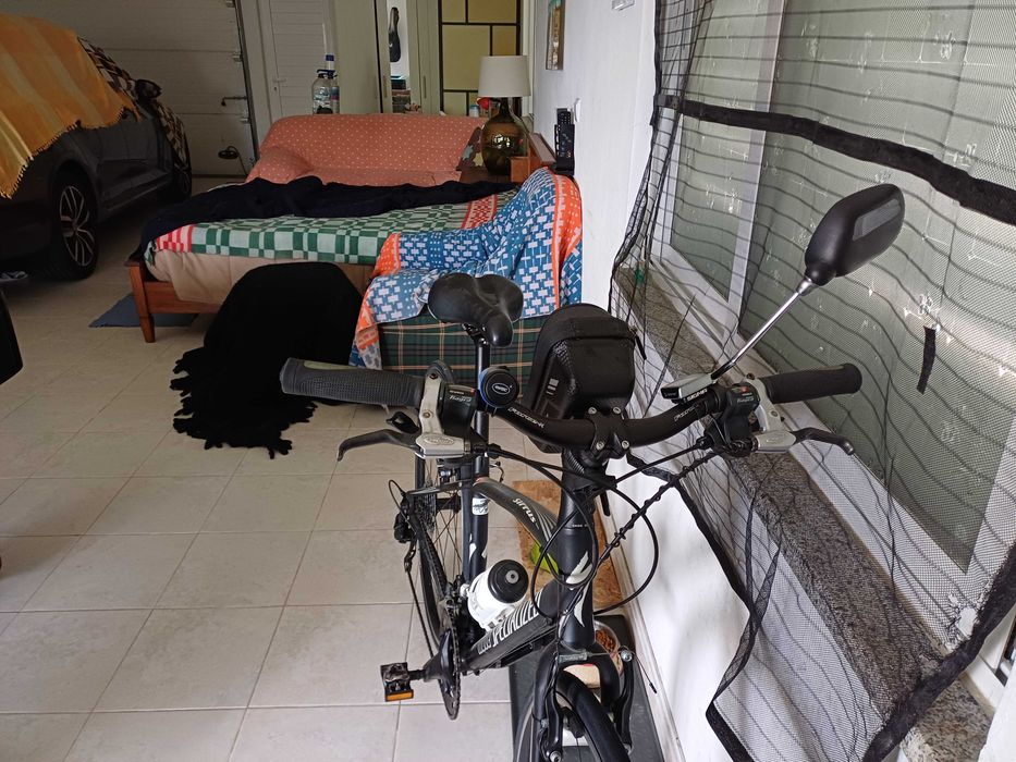 Optima bike Specialized
