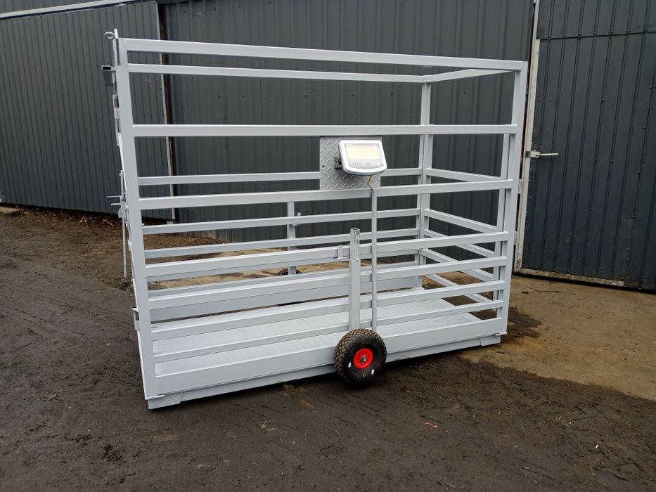 Poskrom z waga do bydła koni waga inwentarzowa