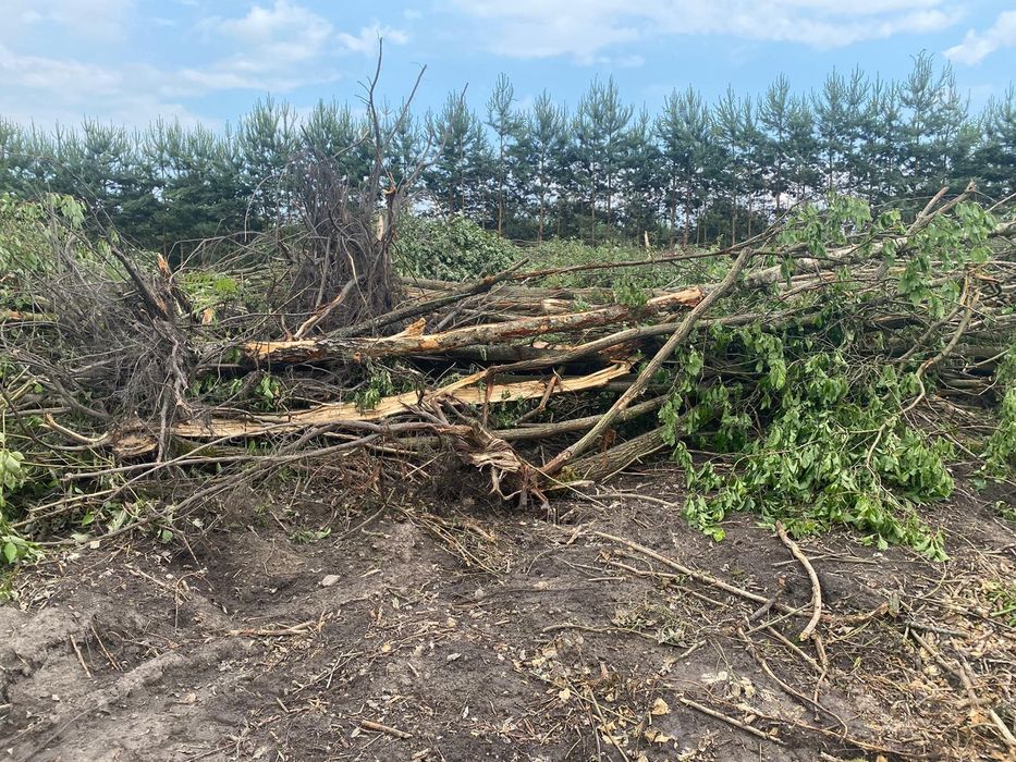 Likwidacja sadów zarośli krzaków krzewów wycinka frezowanie mulczer