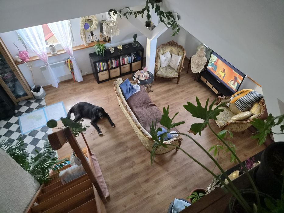 mieszkanie z antresolą