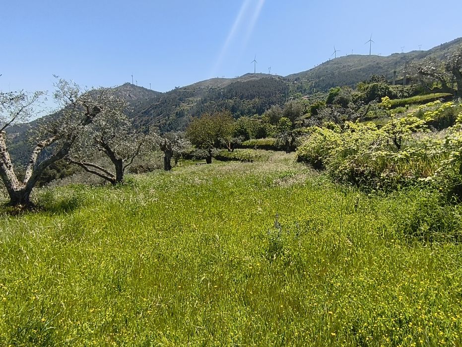 Terreno Urbano em Tabuaço