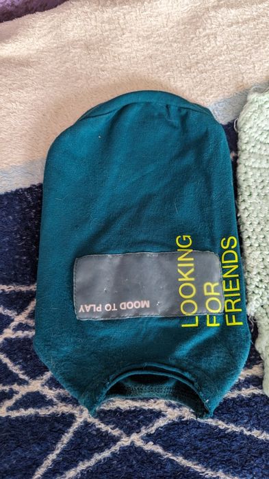 Одежда для животных