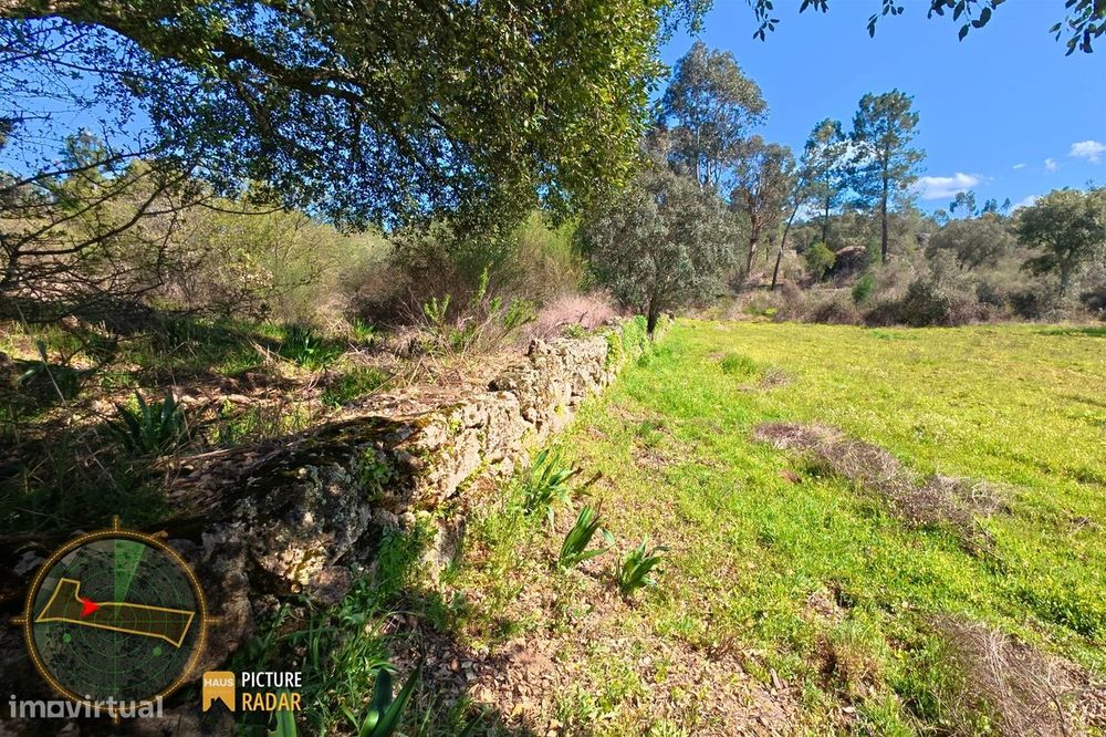 Terreno 1.1ha com Ruína e Vale Fértil | Cafede, Castelo Branco