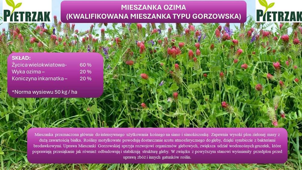 Mieszanka poplonowa OZIMA (mieszanka typu gorzowska)