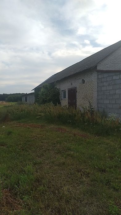 Gospodarstwo rolne 9 ha